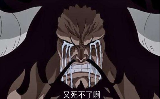 海贼王:5个四皇的口头禅,路飞念叨不停,凯多最