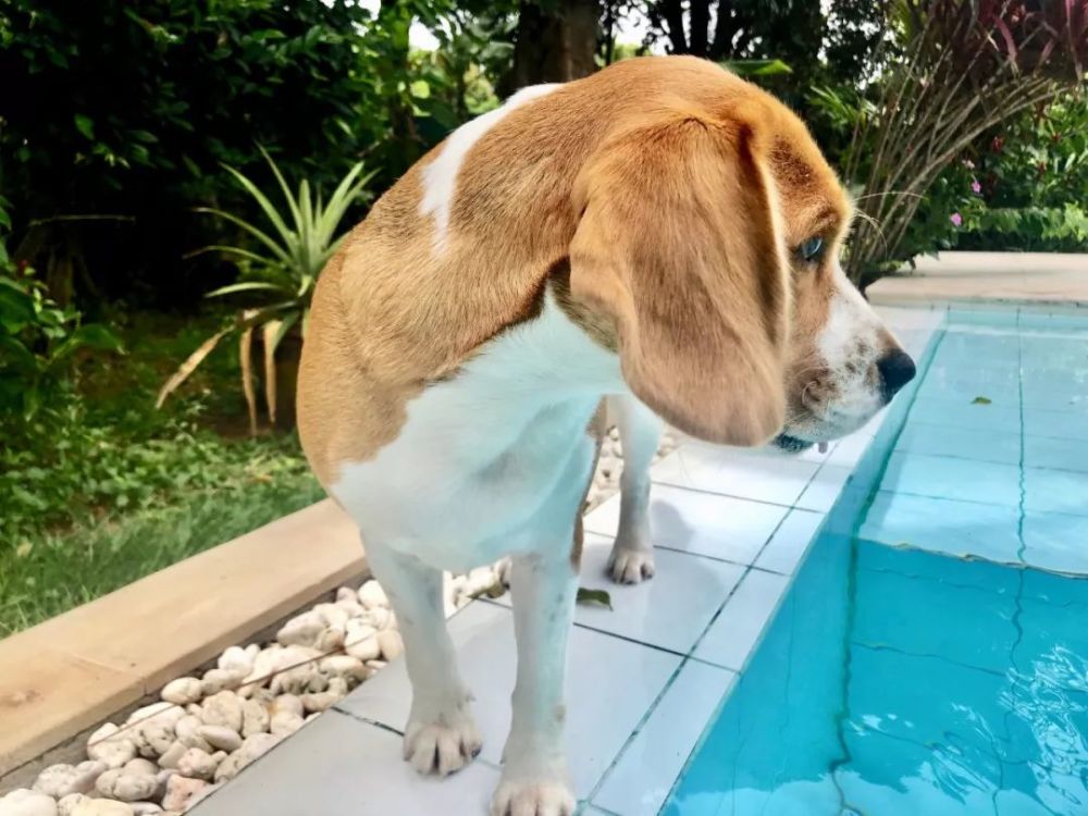  在普吉岛的游轮上遇见了爱情>