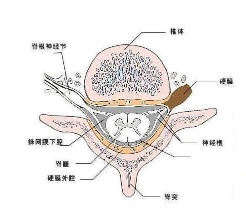 为何剖腹产后"去枕平躺"6小时?原来很有讲究,家人别做三件事