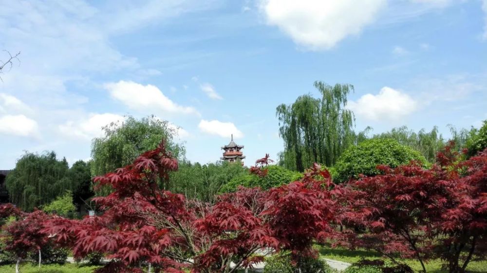 新都花香果居旅游景区醉桂花品柚果近郊休闲好去处