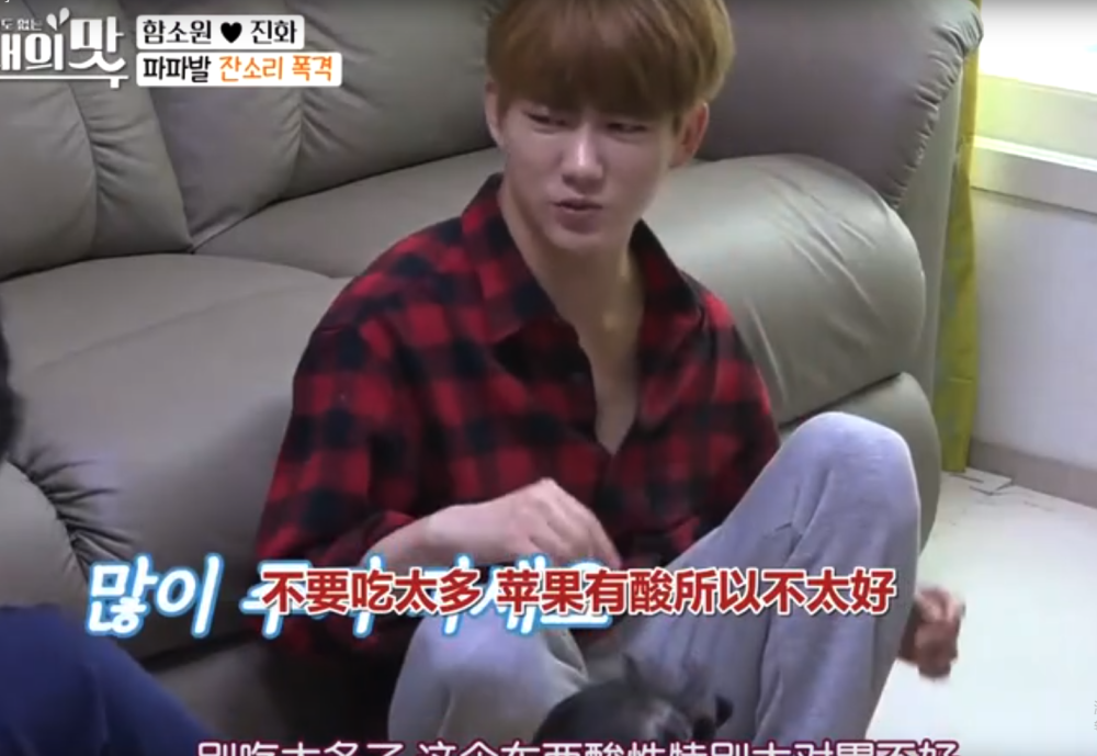 保姆给慧铮喂苹果却被陈华嫌弃 得知真实原因 网友 快道歉