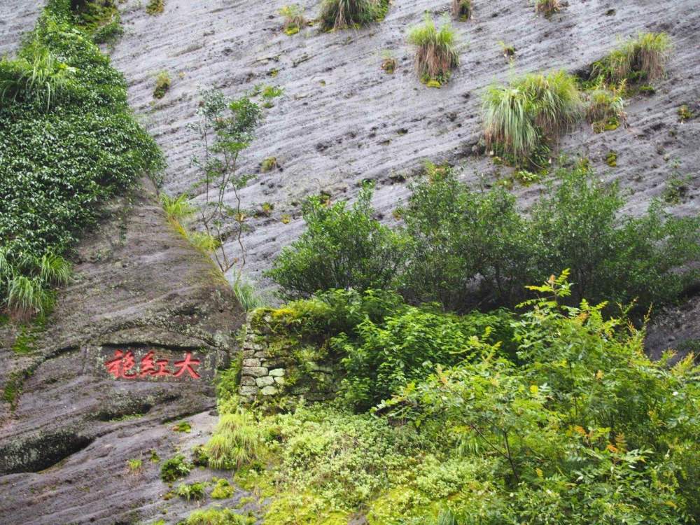 名茶价格排行_中国最贵茶叶排行:西湖龙井排行第三,第一名价格1040万元/公斤