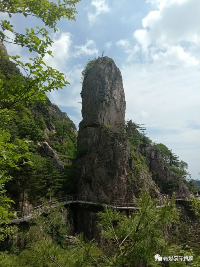 东孟姜女河的傍晚与一只白鹭相遇