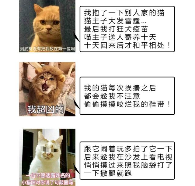 被這些動物記仇後,能追殺你一輩子!