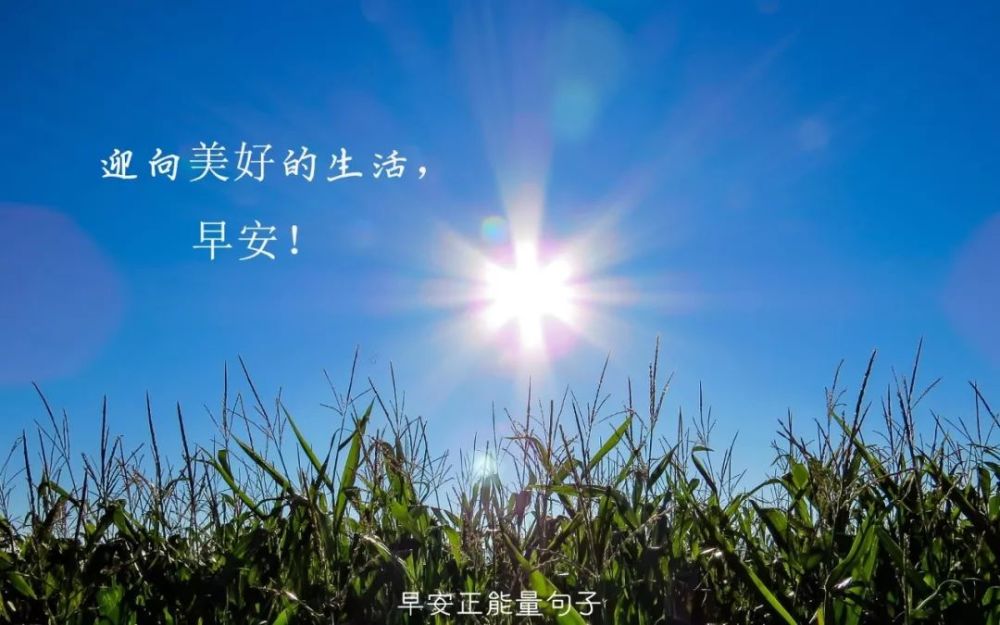 早安带字图片大全唯美 微信早安心语唯美配图