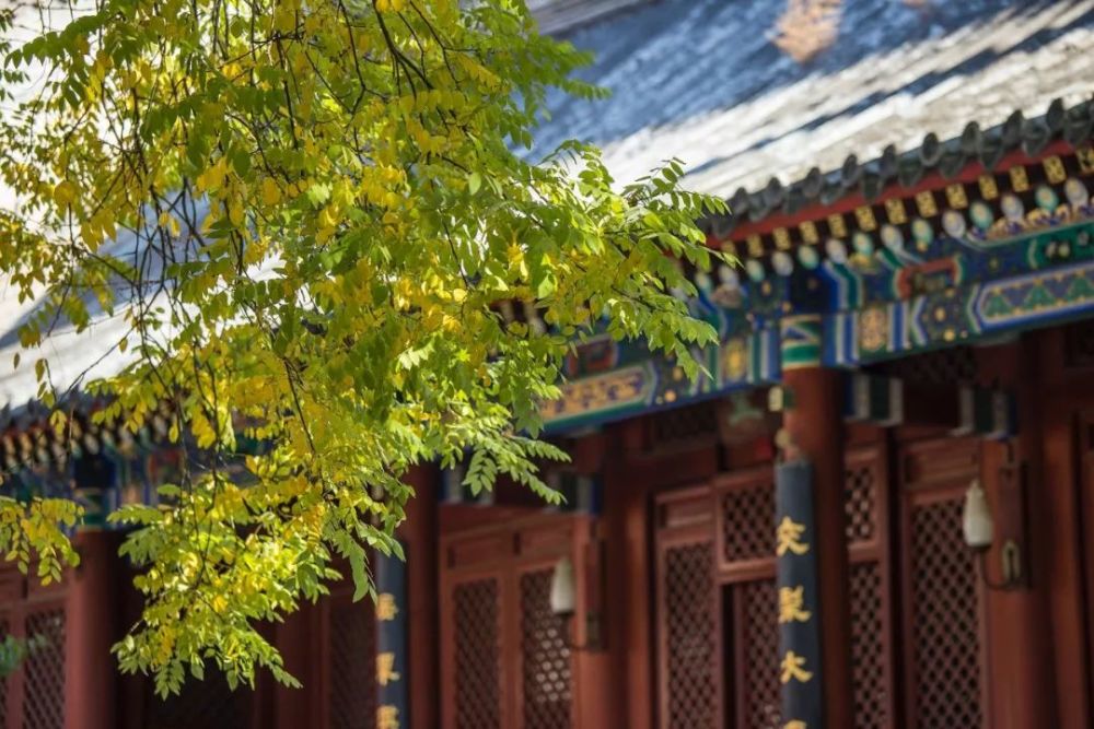 论语|国学智慧-流传千古的经典