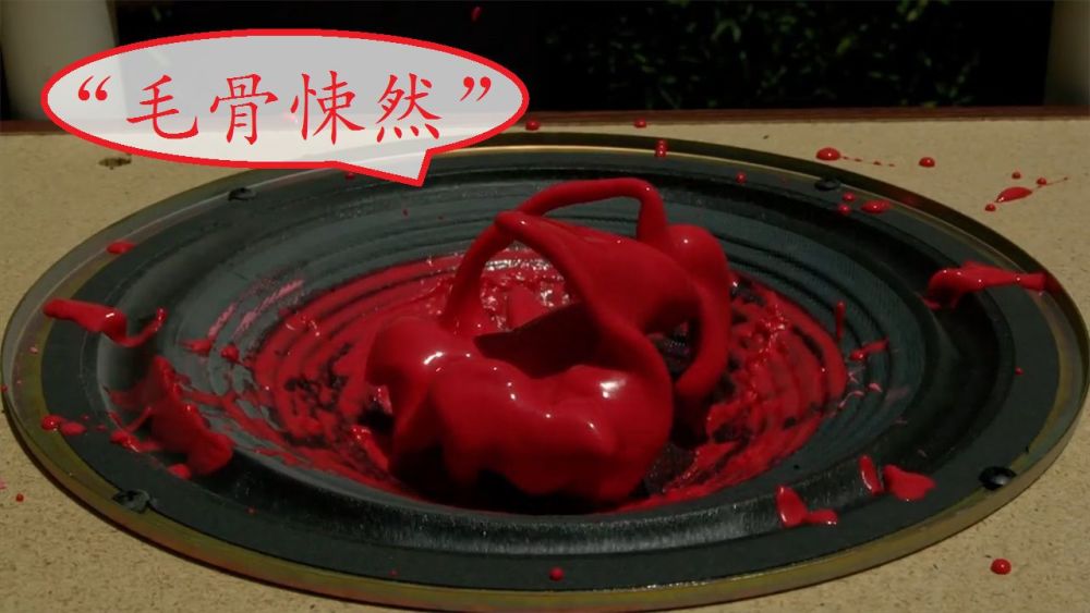 老外将非牛顿流体放在音箱上 启动瞬间像有了生命
