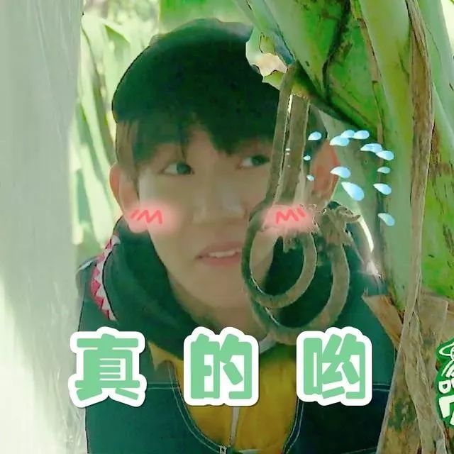王源搞笑表情包:刚哥说打扰了,他想问哪把钥匙可以打开你的心门