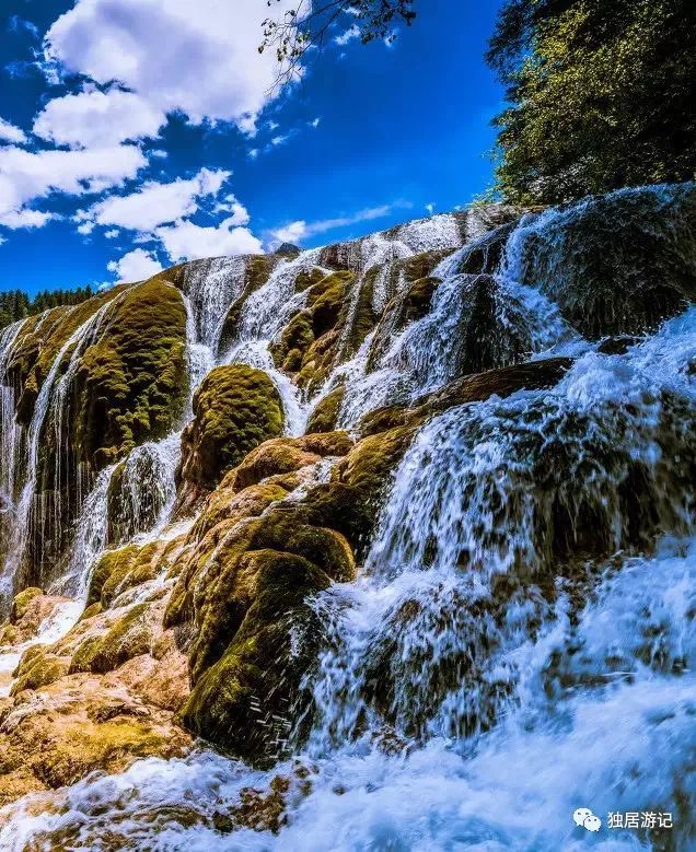 水景之王 九寨沟国庆旅游已经开放 有兴趣的朋友来看看吧