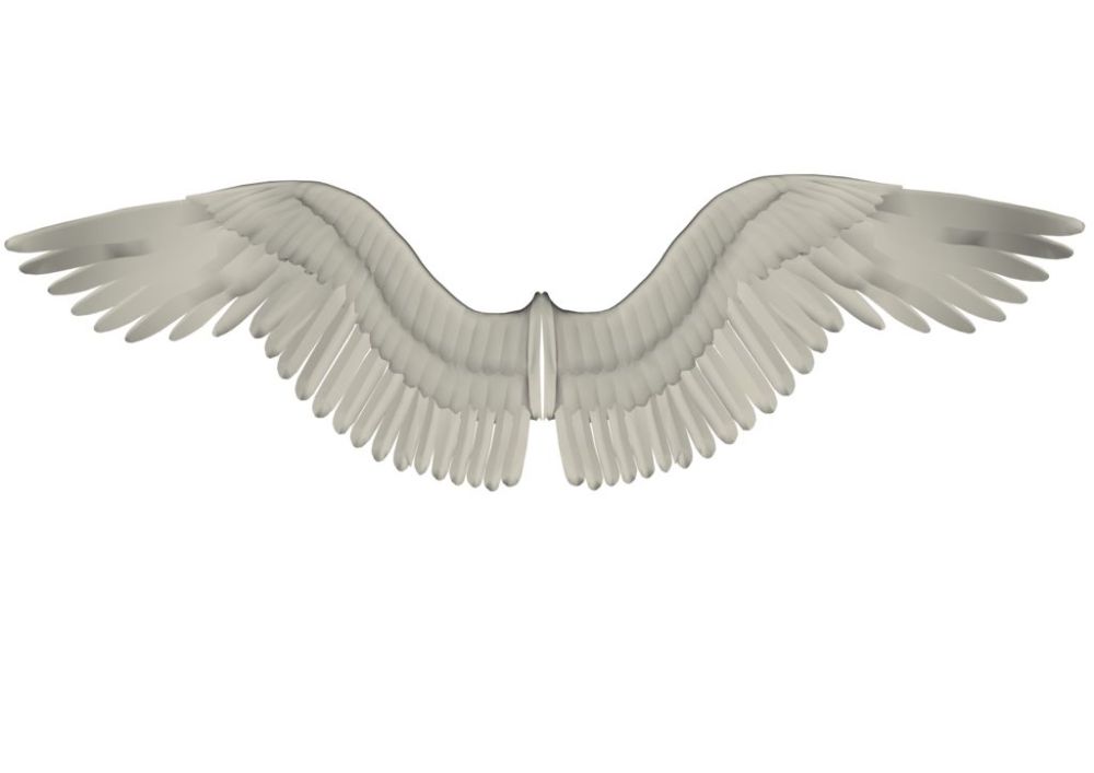 心理测试:四个翅膀选一个?测试你的身边谁在默默的守护着你?