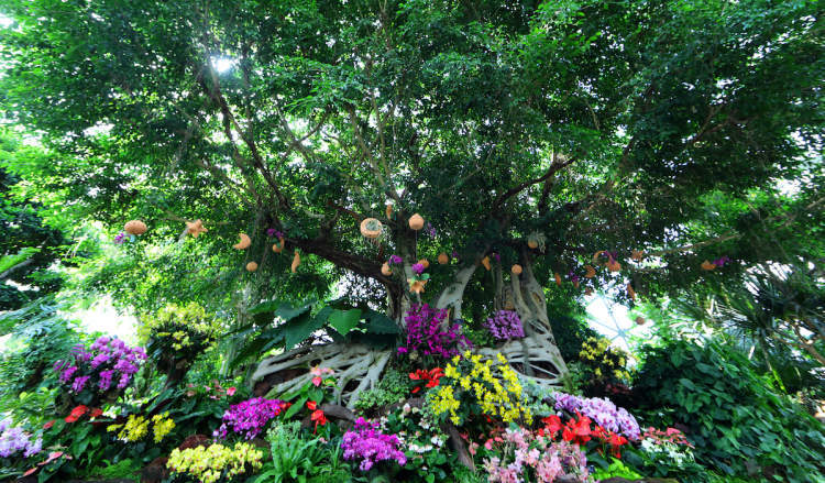 辰山植物园首届自然生活节国庆和你一起过节