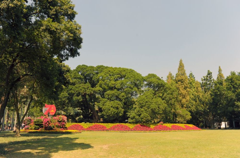 黑天鹅 木栈道 这个福州人熟悉的公园 国庆全新亮相