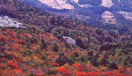 九州赏枫名所3选 神社 庭园 山岳之中寻觅自然之美