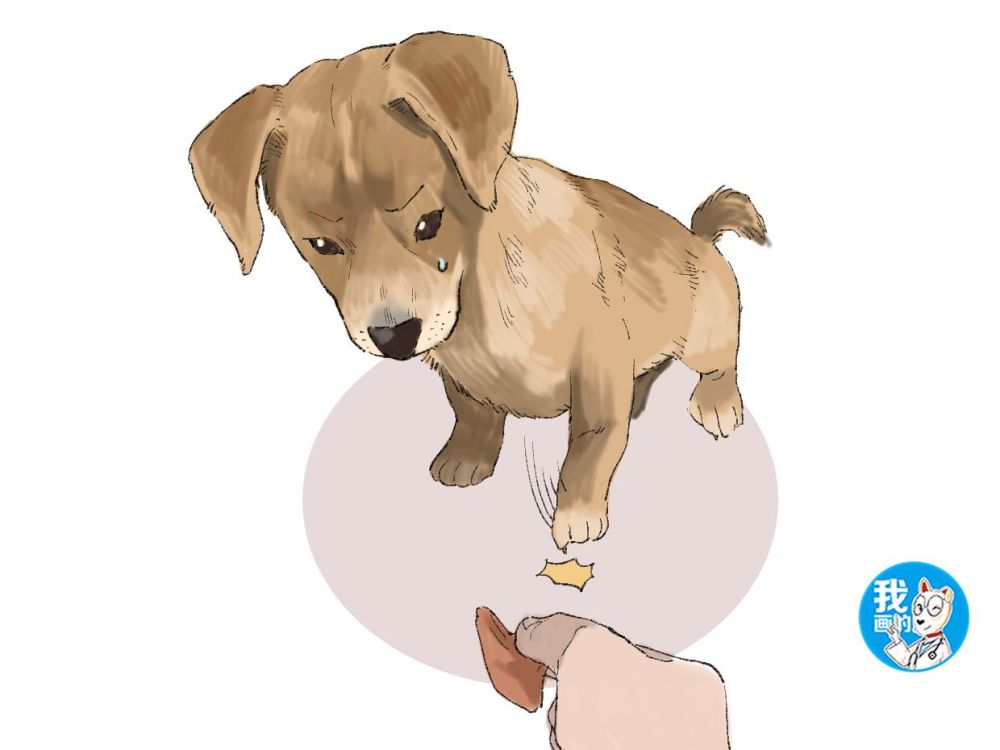 土狗不吃男子手中的肉,正疑惑时却想到了什么:老祖宗教得好