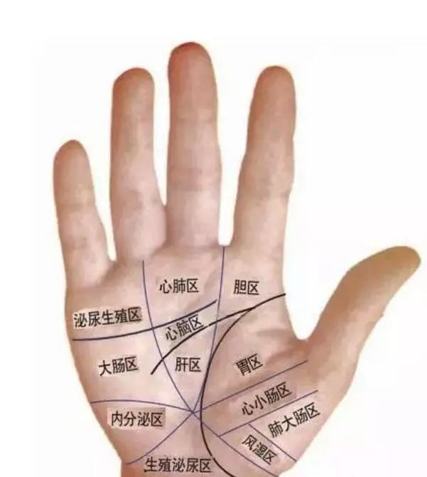 在手掌中,蕴涵生命与健康的信息,掌握一点手掌诊疗知识,你就是自己最