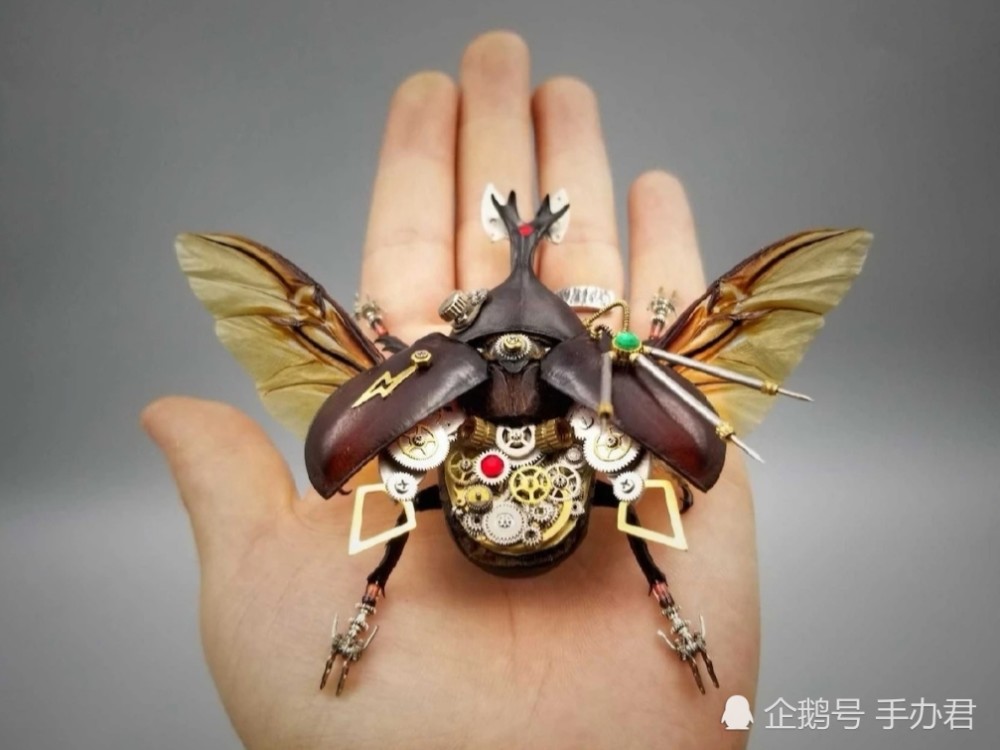精美绝伦的艺术品朋克风机器昆虫手办这样的标本你喜欢吗