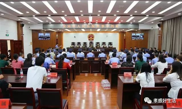 安陆首例黑社会性质组织案昨日开庭 11人被提起公诉