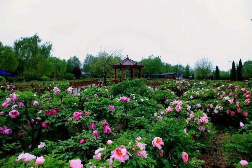 迁西县凤凰山旅游区 迁西县花乡果巷旅游景区 迁安白羊峪长城旅游区