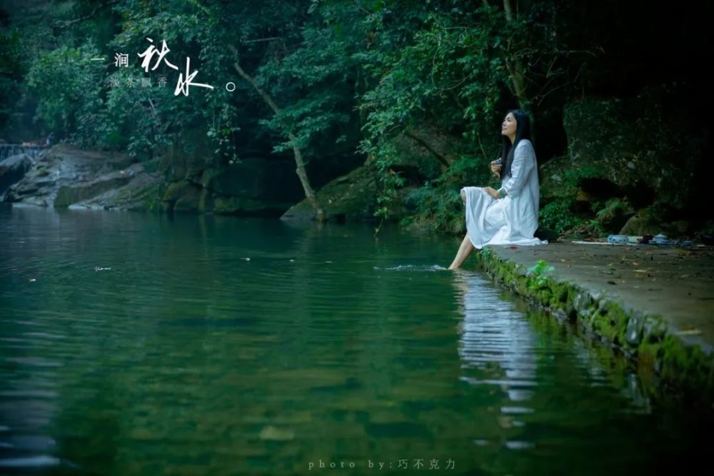 一草一木,在素净的秋色里,悠然如歌.