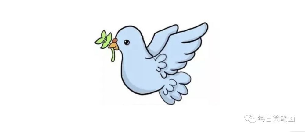 每日简笔画象征着和平的和平鸽一起来学吧