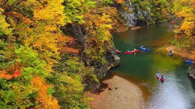 日本红叶又要刷屏了 3条线路 躲避人潮静享 枫 景