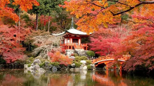 日本红叶又要刷屏了 3条线路 躲避人潮静享 枫 景