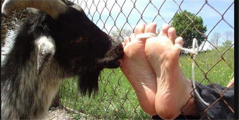 古代那些奇葩刑罚挠脚心是为了笑死我吗