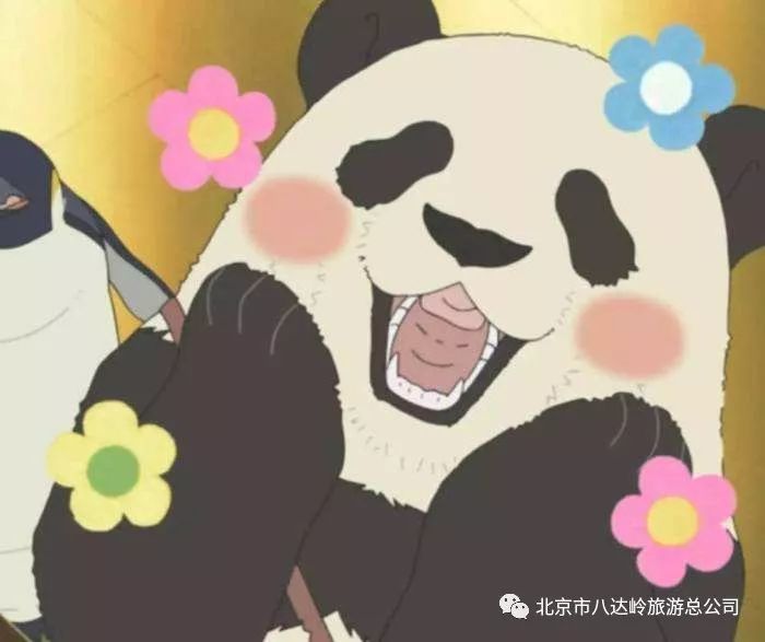 香港光头刘sir首次登上长城,太帅了!