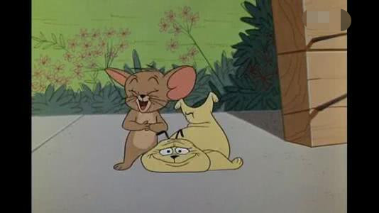 猫和老鼠汤姆小看了小黄狗结果就变成了现在这个样子了