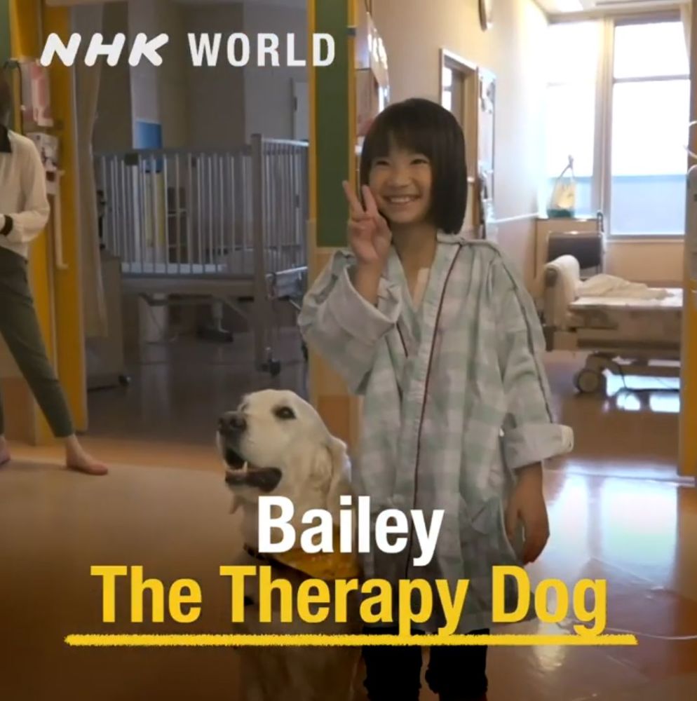 服役九年的治疗犬 却在这次任务中违抗了指令