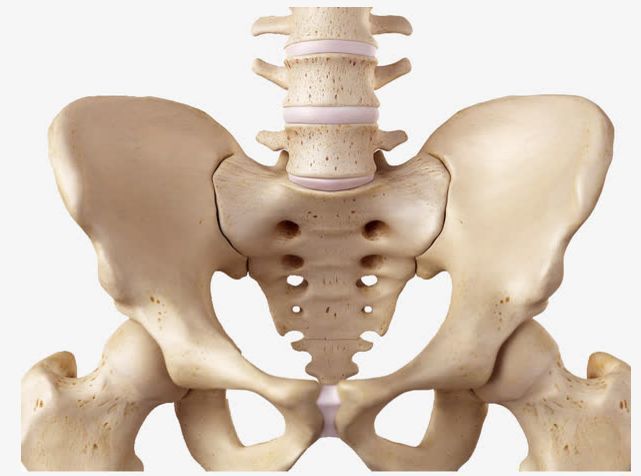 但受日常不良姿势影响腰椎与骶骨的位置失稳紊乱,骨骼错位,多数人骶骨