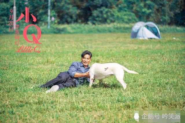 任达华戏中意外失明 是导盲犬 小q 温暖和爱的陪伴改变了他