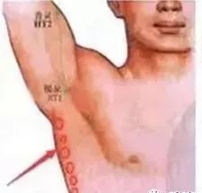 人体3条大筋掌握这三条筋能治很多病