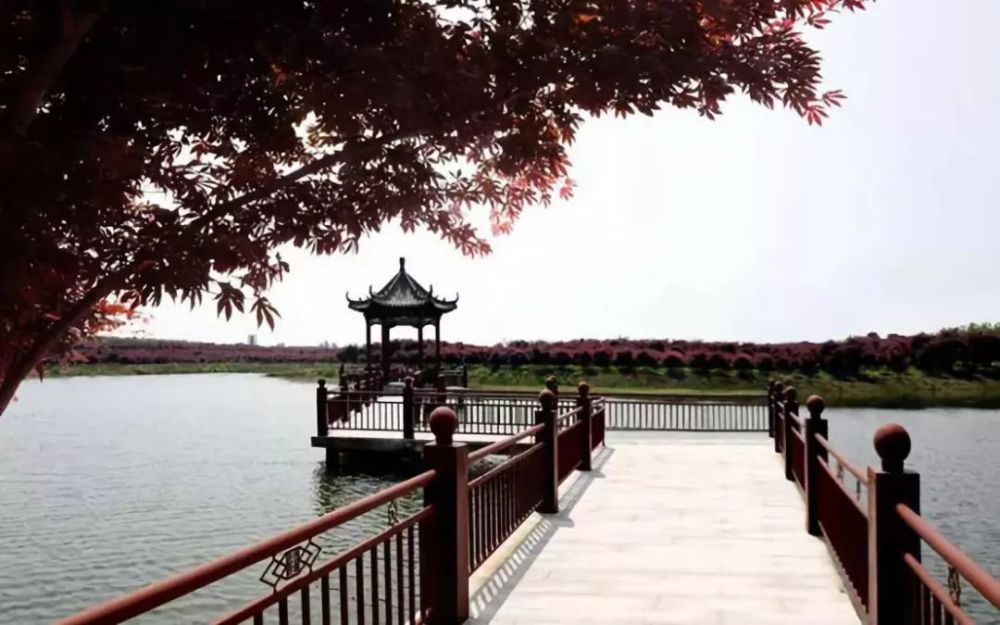 有一种田园综合体发展模式叫官亭林海作发展引擎带动周边更成就自己