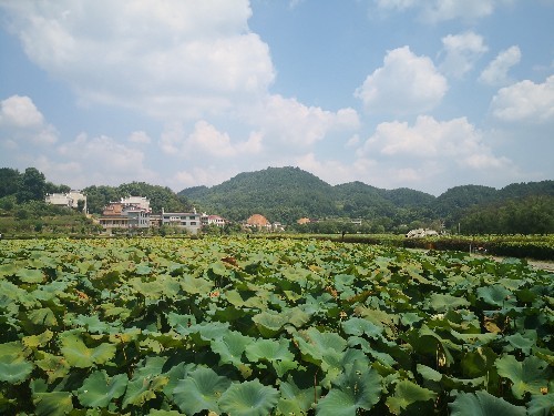 乡间侯爷的家在这里看到农耕文明时代不可多见的乡土气