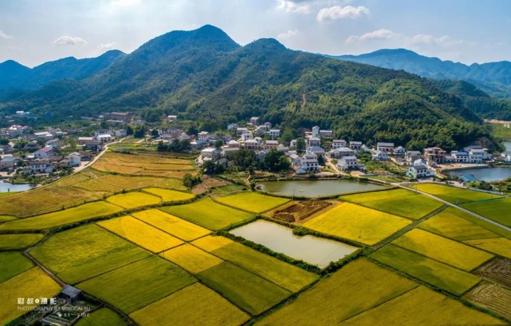 稻浪千重看韶山(组二十五 田园秋韵(韶山市杨林乡石屏村.