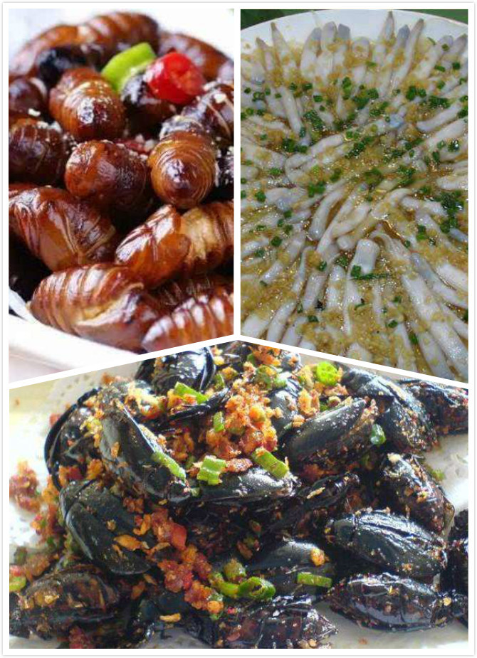 古代广东人的普遍肉食"家鹿",竟是这种东西