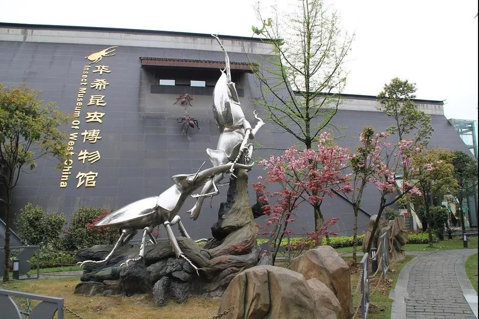 点位三: 成都乌木艺术博物馆