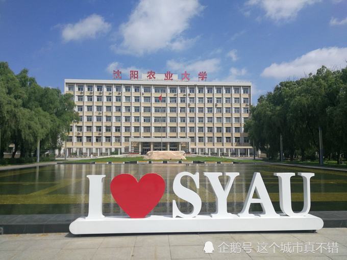 辽宁退步最大的大学曾是99所重点大学之一现在却是末流一本