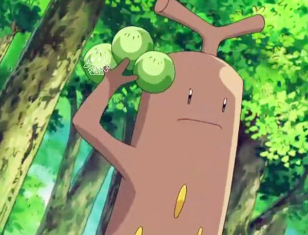 曾经在游戏里阻挡我们前进的神奇宝贝有着传说般的故事