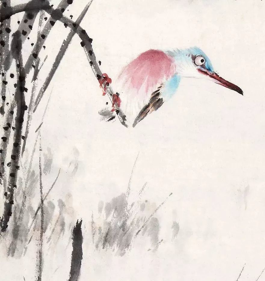 国画|灵气逼人的国画小鸟，美到窒息