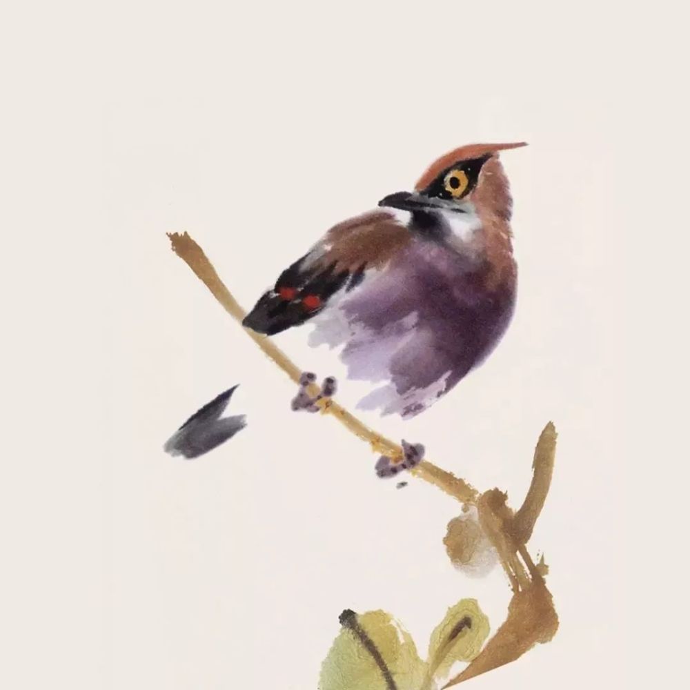 国画|灵气逼人的国画小鸟，美到窒息