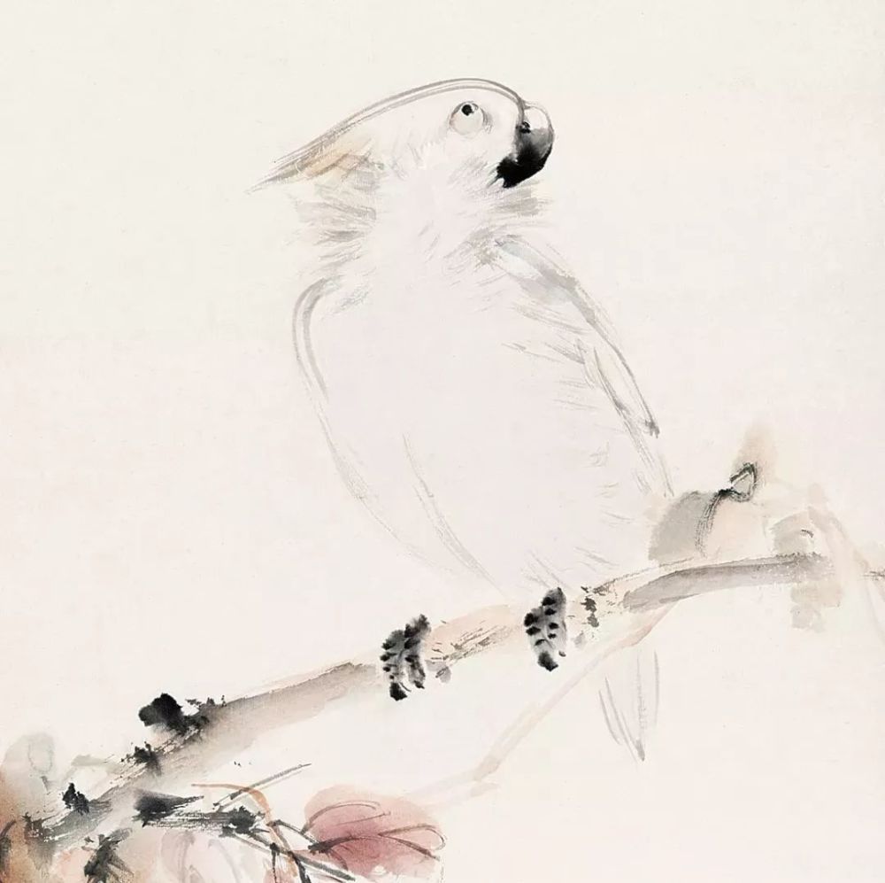 国画|灵气逼人的国画小鸟，美到窒息