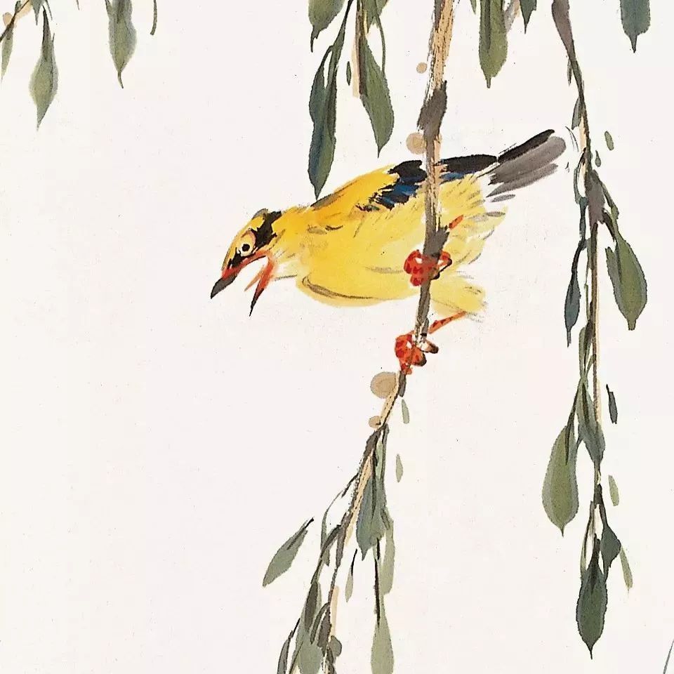 国画|灵气逼人的国画小鸟，美到窒息