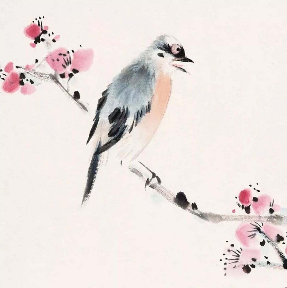 国画|灵气逼人的国画小鸟，美到窒息