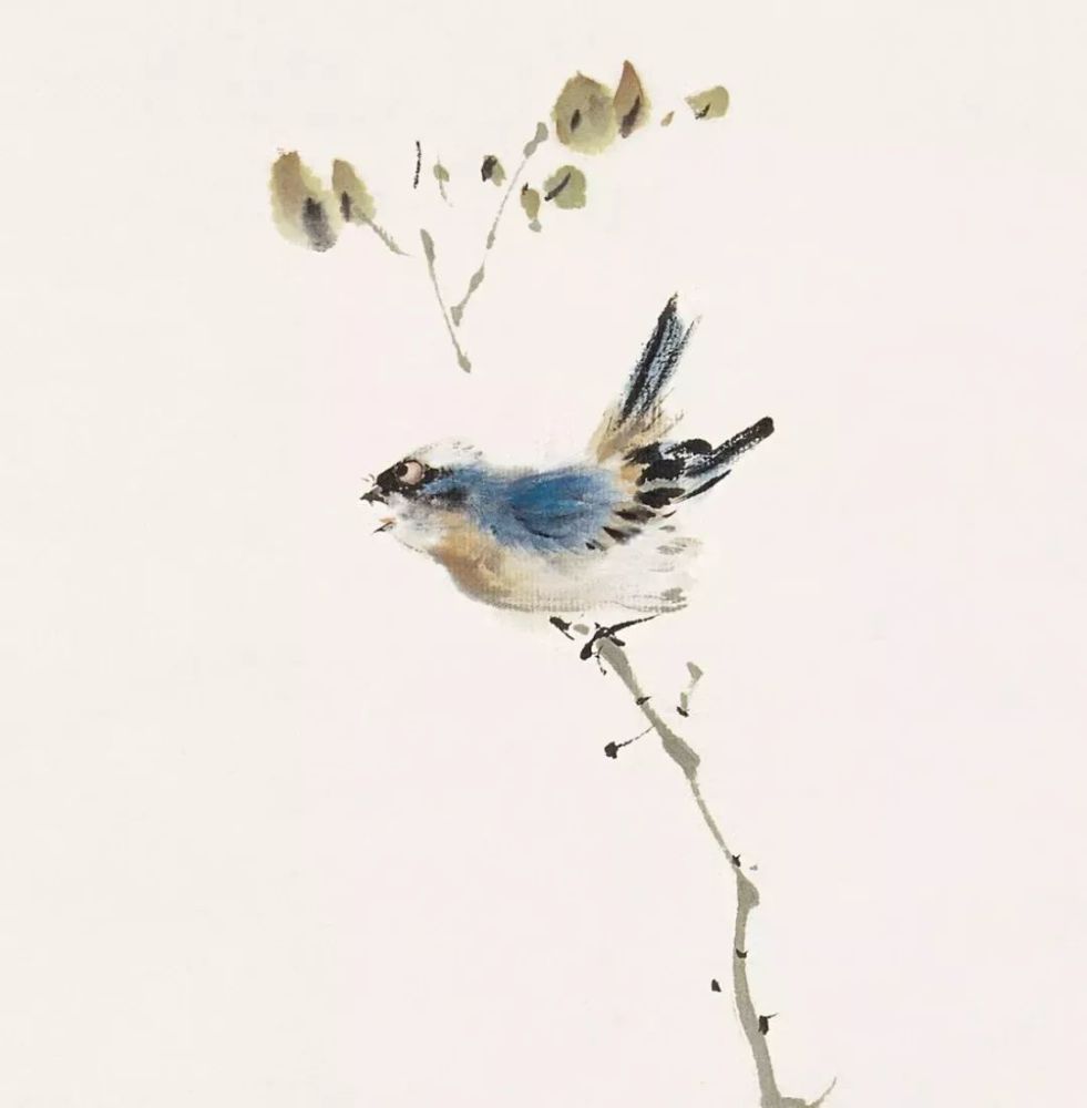 国画|灵气逼人的国画小鸟，美到窒息