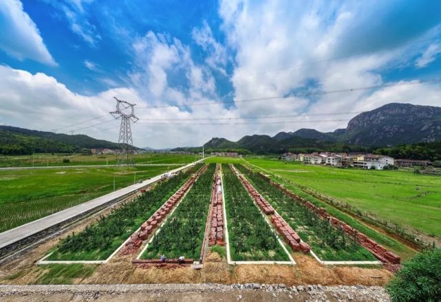 图片来源:海峡农业每天,仙游县钟山镇的蔬菜基地都要向全省永辉