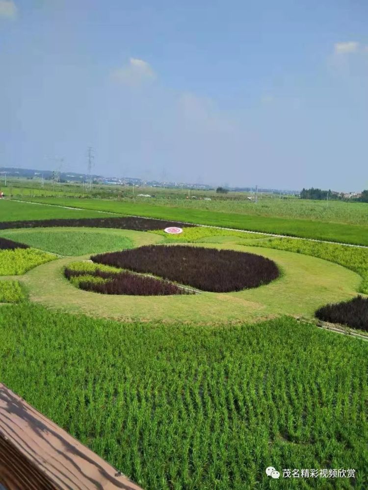 顯示,項目位於茂名市北郊,好心湖北岸,覆蓋金塘鎮,山閣鎮8個村