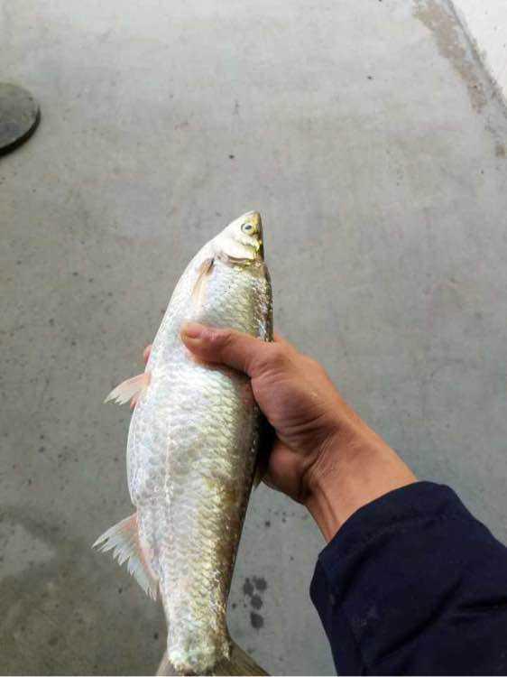 腾讯内容开放平台