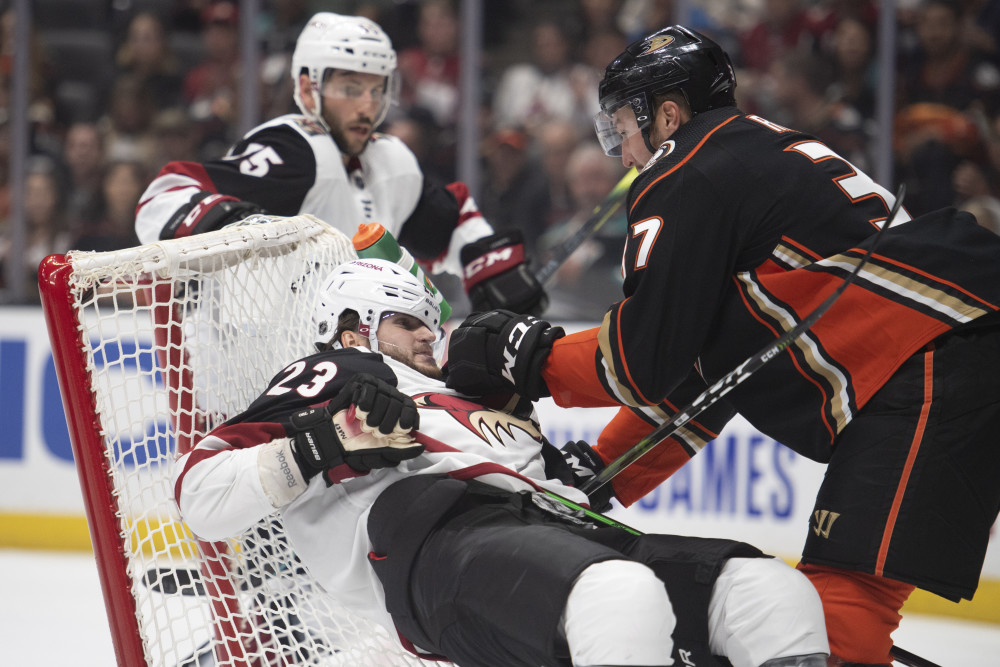 但郊狼次节节末晚节不保,卡姆-福勒的进球再次让小鸭取得领先.